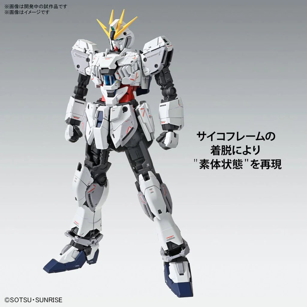 Gundam - Narrative Gundam C-Packs Ver. Ka 1/100 [MG]